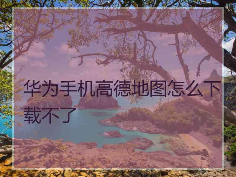 华为手机高德地图怎么下载不了