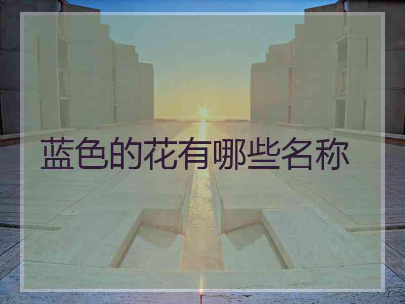 蓝色的花有哪些名称