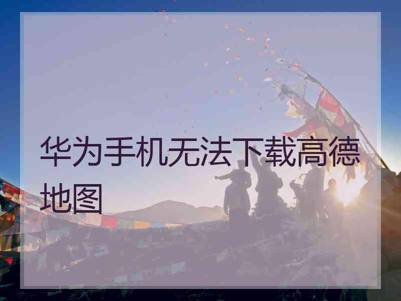 华为手机无法下载高德地图