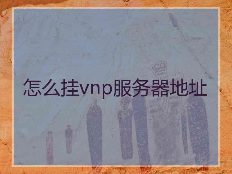 怎么挂vnp服务器地址
