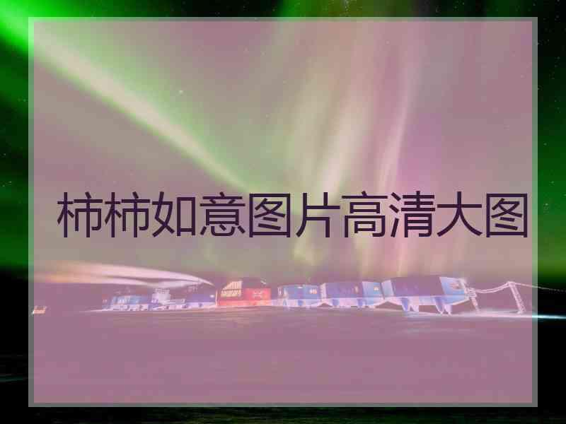 柿柿如意图片高清大图