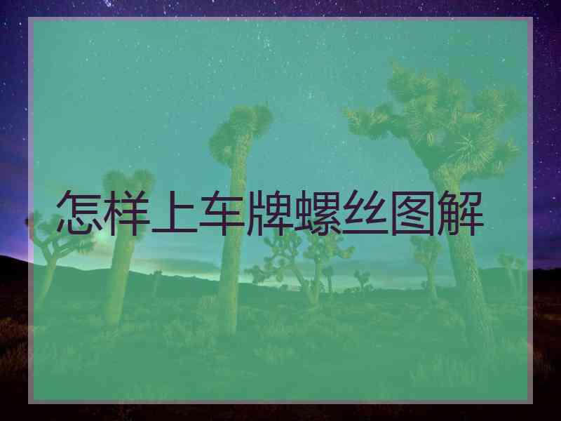 怎样上车牌螺丝图解