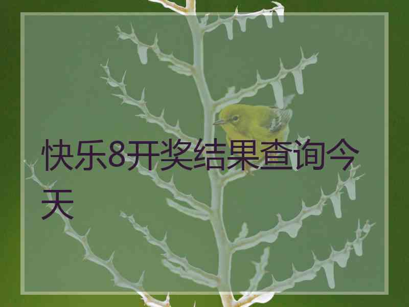 快乐8开奖结果查询今天