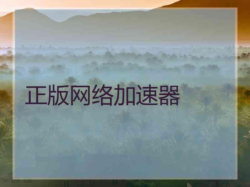 正版网络加速器