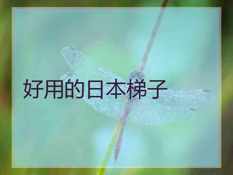 好用的日本梯子