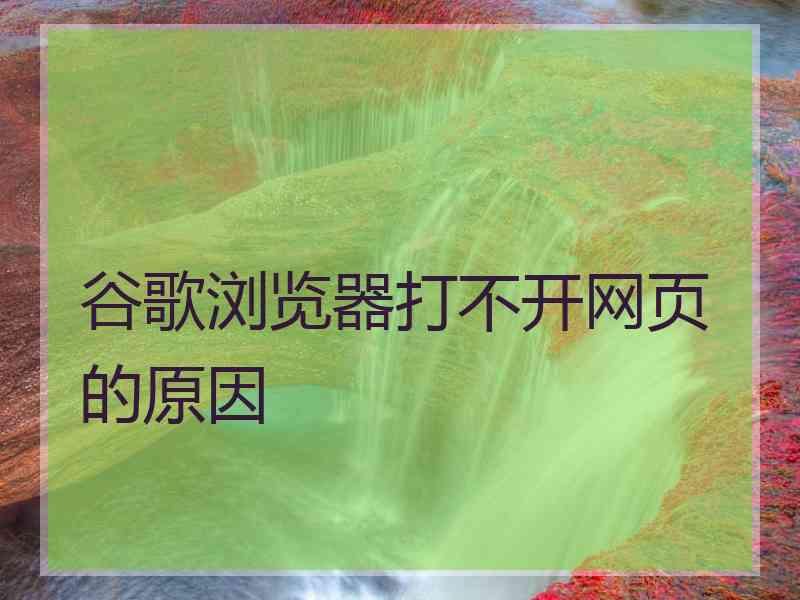 谷歌浏览器打不开网页的原因