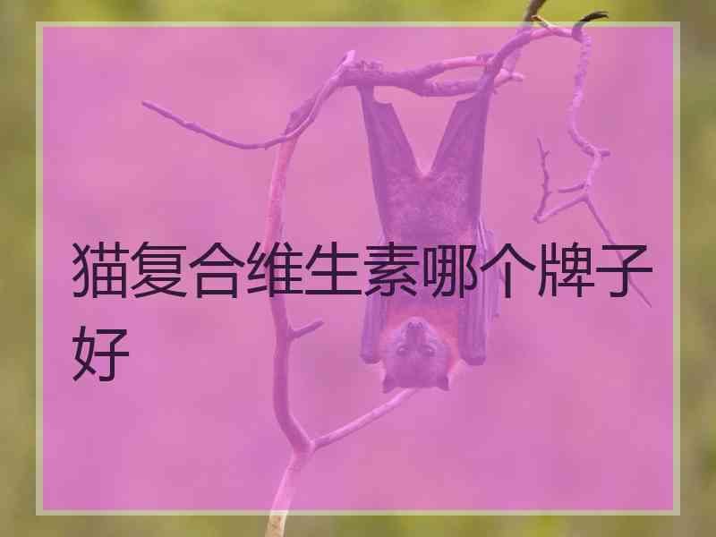 猫复合维生素哪个牌子好