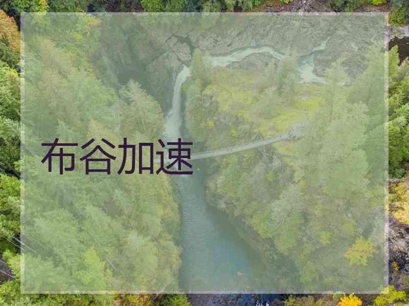 布谷加速
