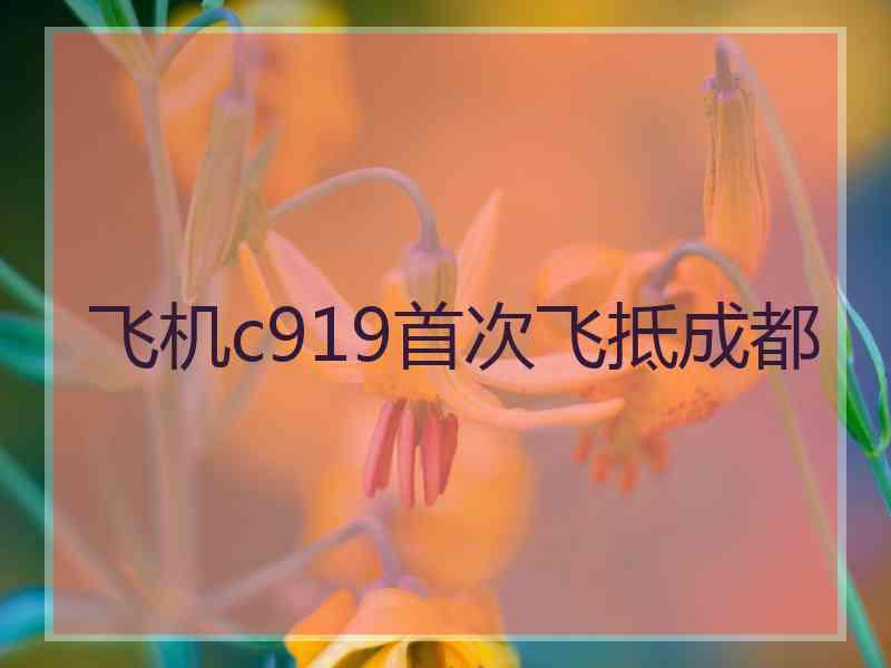 飞机c919首次飞抵成都