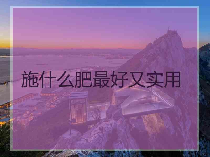 施什么肥最好又实用