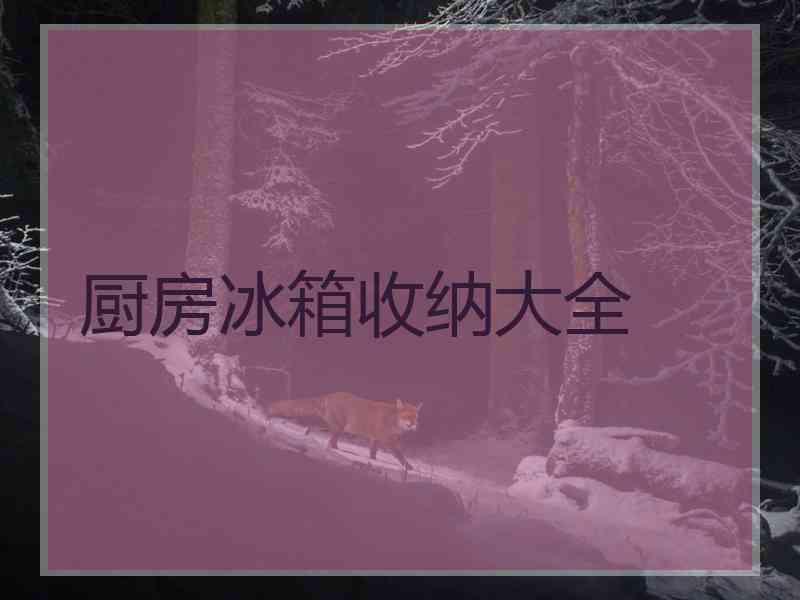 厨房冰箱收纳大全