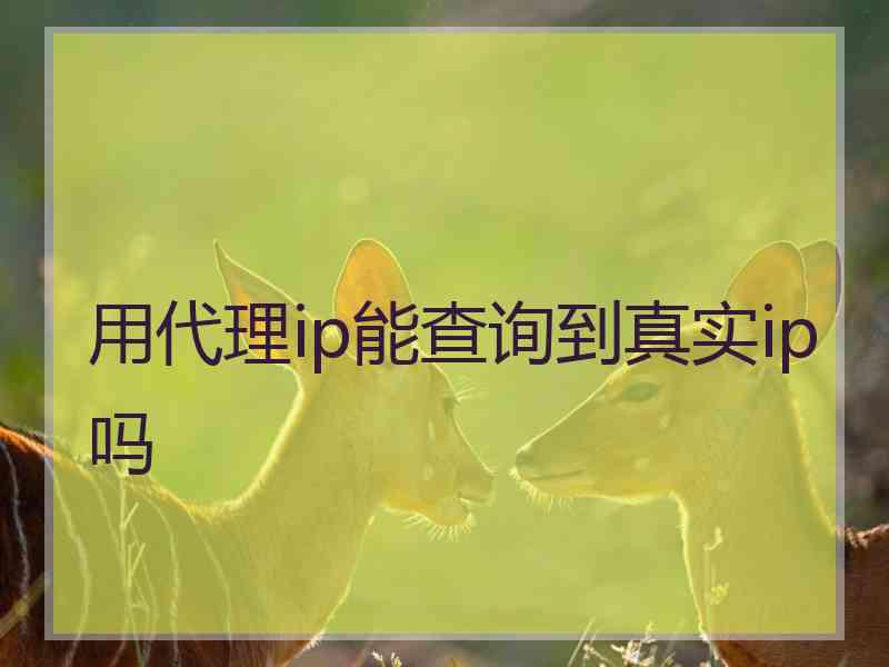 用代理ip能查询到真实ip吗