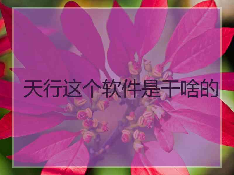 天行这个软件是干啥的