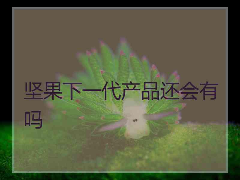 坚果下一代产品还会有吗