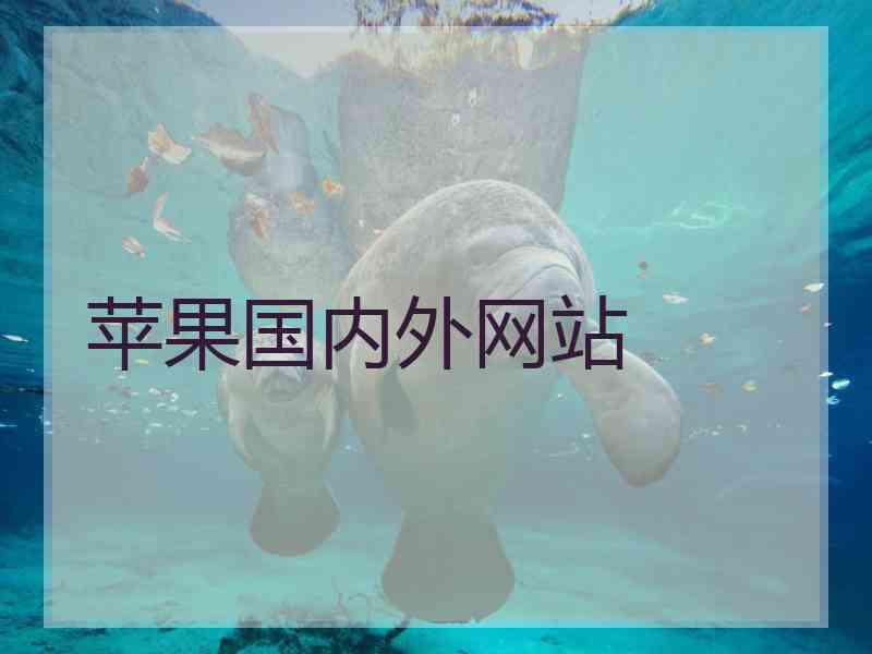 苹果国内外网站