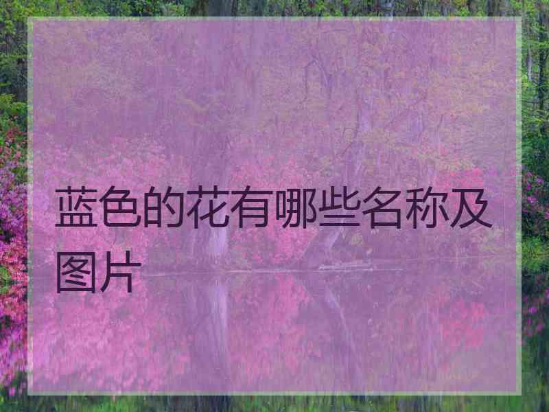 蓝色的花有哪些名称及图片