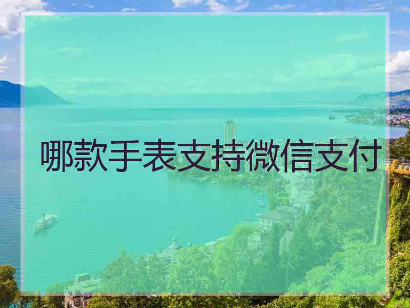 哪款手表支持微信支付