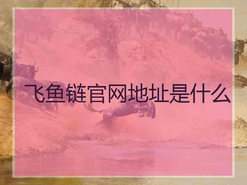 飞鱼链官网地址是什么