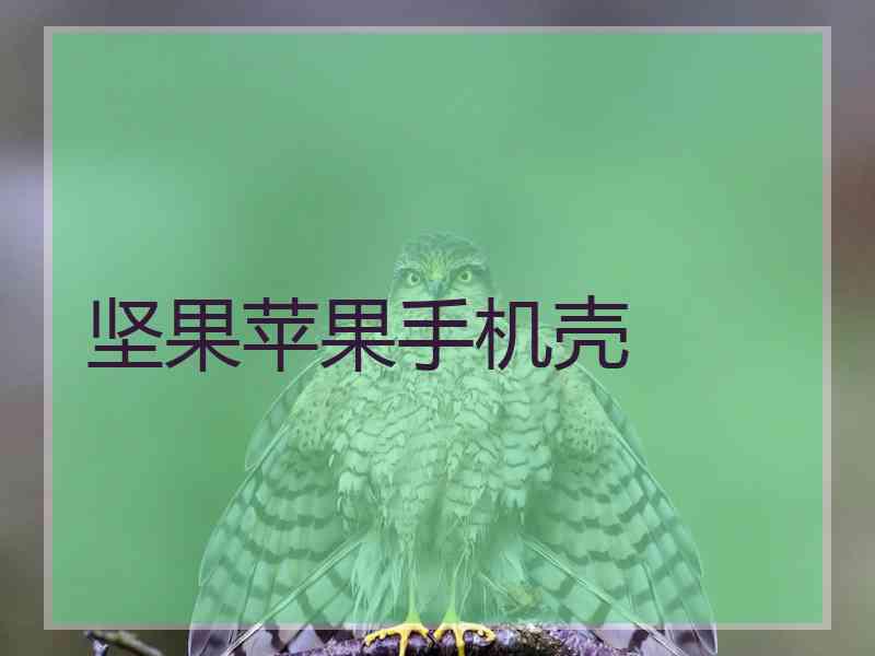 坚果苹果手机壳