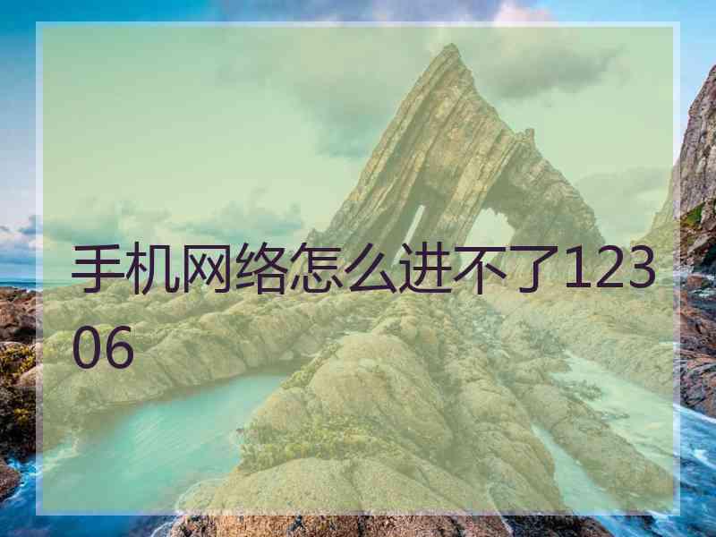 手机网络怎么进不了12306