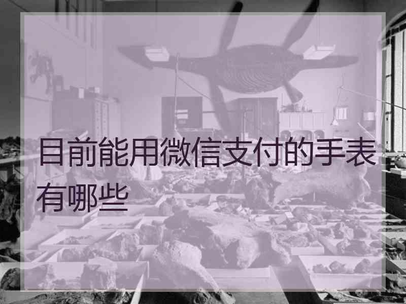 目前能用微信支付的手表有哪些
