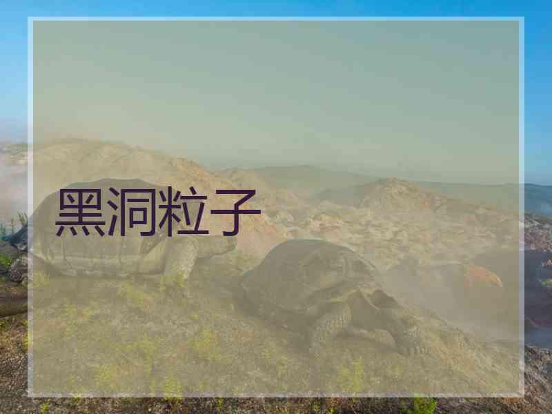 黑洞粒子