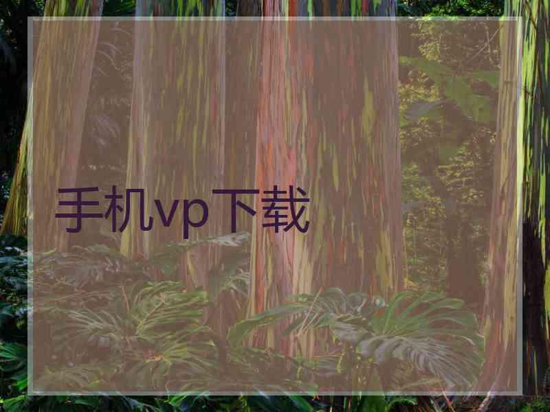 手机vp下载