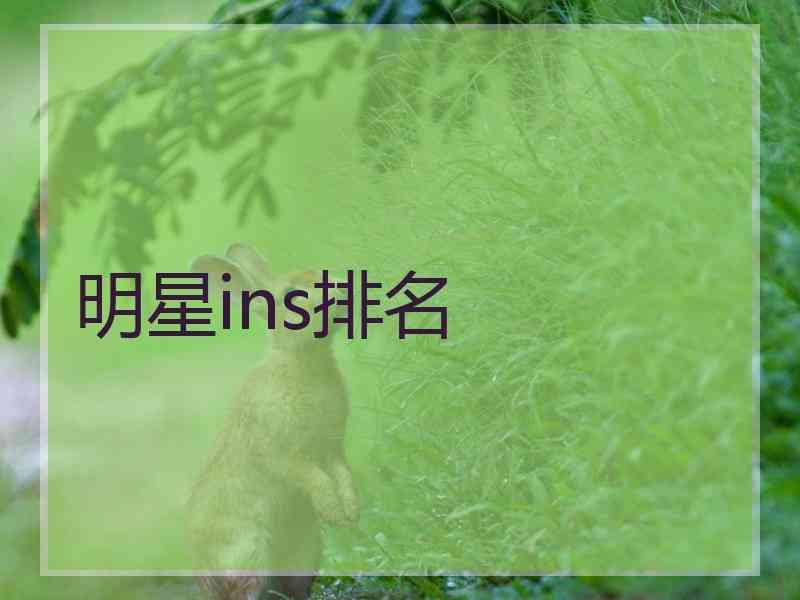 明星ins排名