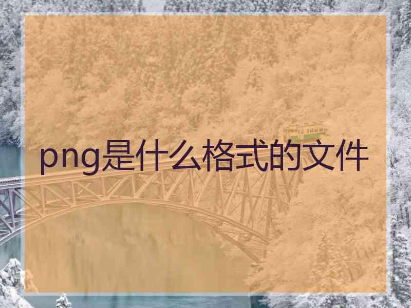 png是什么格式的文件