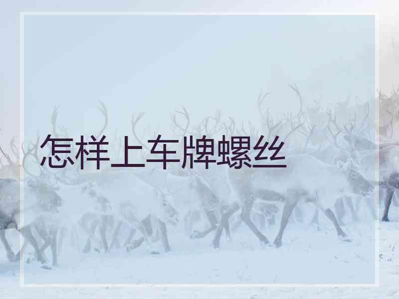 怎样上车牌螺丝